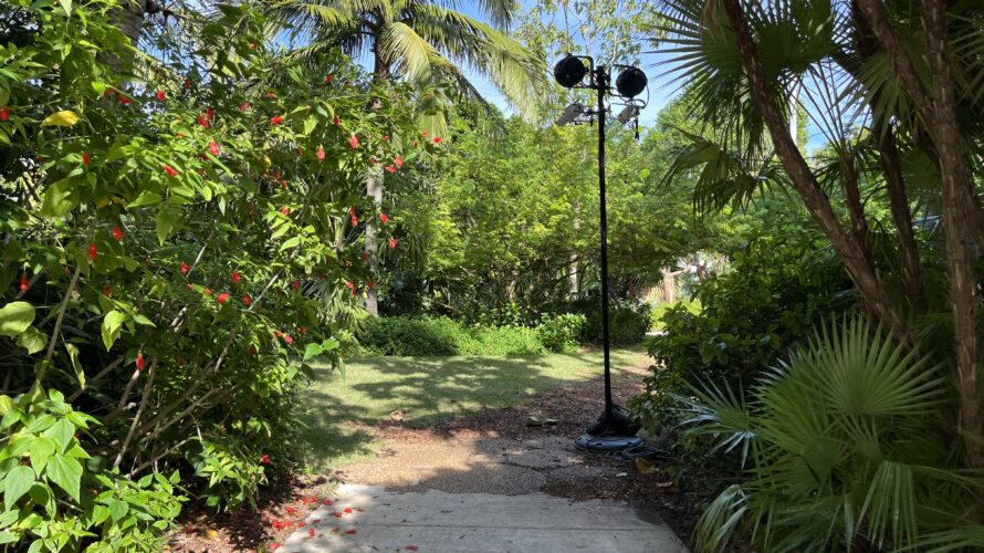 【アメリカ】行ったけどやってなかった Miami Botanical Garden